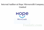 Internal Auditor at Hope Microcredit Company Limited