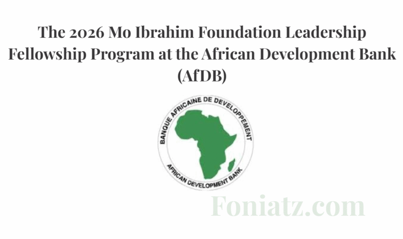 The 2026 Mo Ibrahim Foundation Leadership Fellowship Program