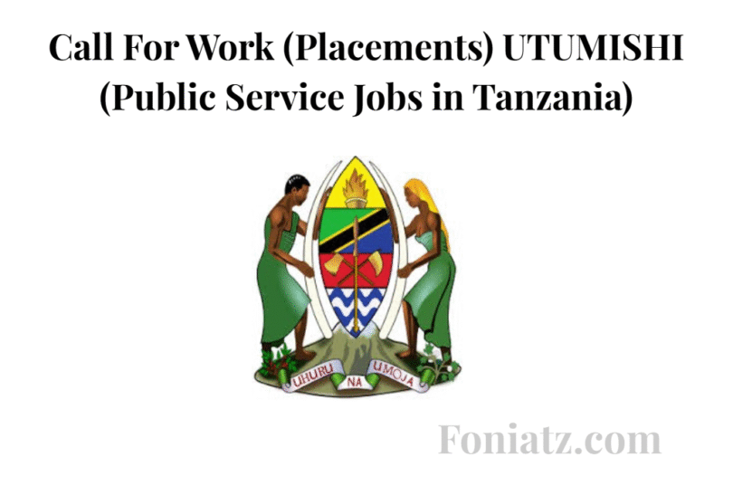 Call For Work (Placements) UTUMISHI (Public Service Jobs in Tanzania)