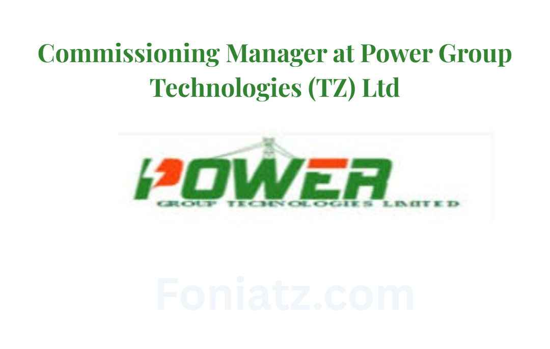Commissioning Manager at Power Group Technologies (TZ) Ltd