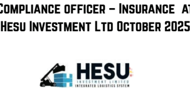 Compliance officer – Insurance at Hesu Investment Ltd October 2025