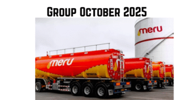 Manager – Logistics at Mount Meru Group October 2025