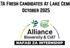 Internship Position at CIAT October 2025
