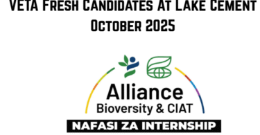 Internship Position at CIAT October 2025