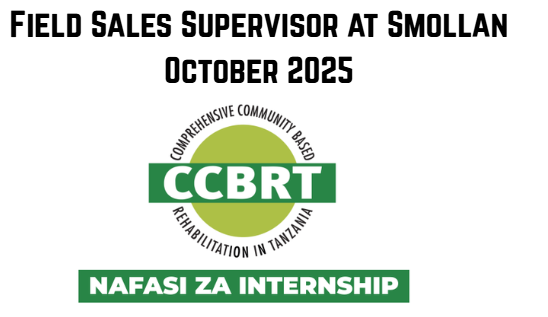 Procurement Officer Intern at CCBRT October 2025