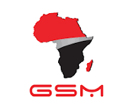 ERP Manager at GSM