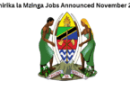 16 Shirika la Mzinga Jobs Announced November 2025
