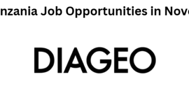 4 Diageo Tanzania Job Opportunities in November 2025