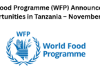 World Food Programme (WFP) Announces 7 Job Opportunities in Tanzania – November 2025
