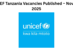 2 UNICEF Tanzania Vacancies Published – November 2025