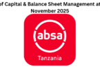 Head of Capital & Balance Sheet Management at ABSA November 2025