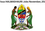 Various HALMASHAURI Jobs November, 2025