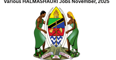 Various HALMASHAURI Jobs November, 2025