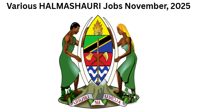 Various HALMASHAURI Jobs November, 2025