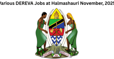 Various DEREVA Jobs at Halmashauri November, 2025