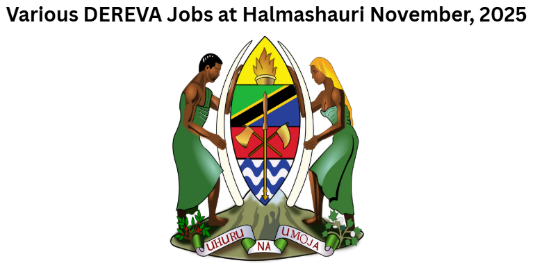 Various DEREVA Jobs at Halmashauri November, 2025