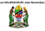 Various HALMASHAURI Jobs November, 2025