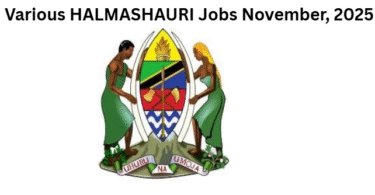Various HALMASHAURI Jobs November, 2025