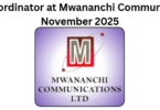 Data Coordinator at Mwananchi Communications November 2025
