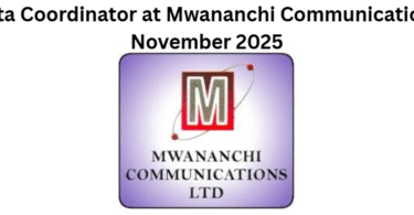 Data Coordinator at Mwananchi Communications November 2025