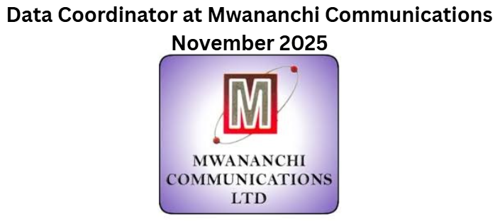 Data Coordinator at Mwananchi Communications November 2025