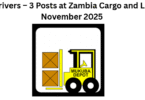Zambia Cargo and Logistics