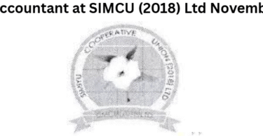 Chief Accountant at SIMCU (2018) Ltd November 2025