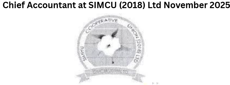Chief Accountant at SIMCU (2018) Ltd November 2025