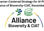 AI Phenotyping – Alliance of Bioversity-CIAT,