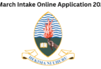 UDSM March Intake Online Application 2026/2027