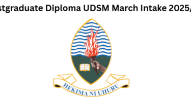 Postgraduate Diploma UDSM March Intake 2025/26