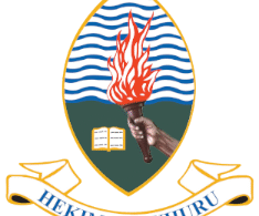 Courses Offered at UDSM March Intake 2025/26