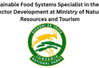Ministry of Natural Resources and Tourism