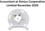 Chief Accountant at Simiyu Cooperative Union Limited November 2025