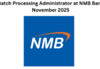 Batch Processing Administrator at NMB Bank November 2025