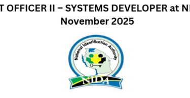 ICT OFFICER II – SYSTEMS DEVELOPER at NIDA November 2025