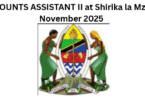 ACCOUNTS ASSISTANT II at Shirika la Mzinga November 2025