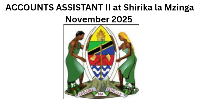ACCOUNTS ASSISTANT II at Shirika la Mzinga November 2025