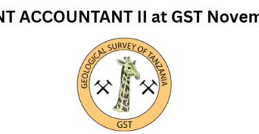 ASSISTANT ACCOUNTANT II at GST November 2025
